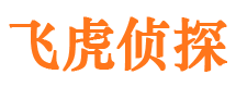 垣曲市婚姻调查